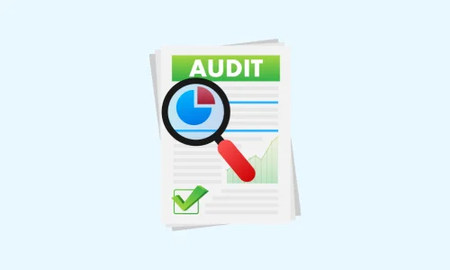 SEO Audits services